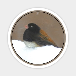 Dark-Eyed Junco Magnet